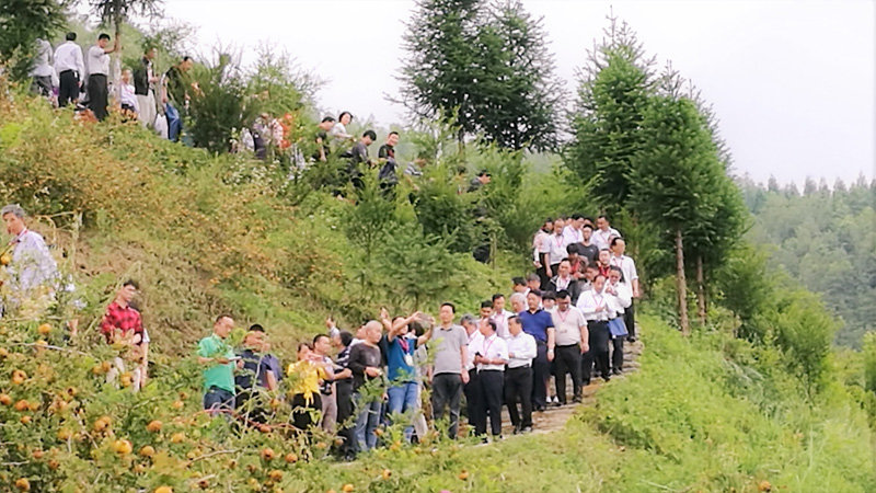 1506407244126238.jpg 4.jpg