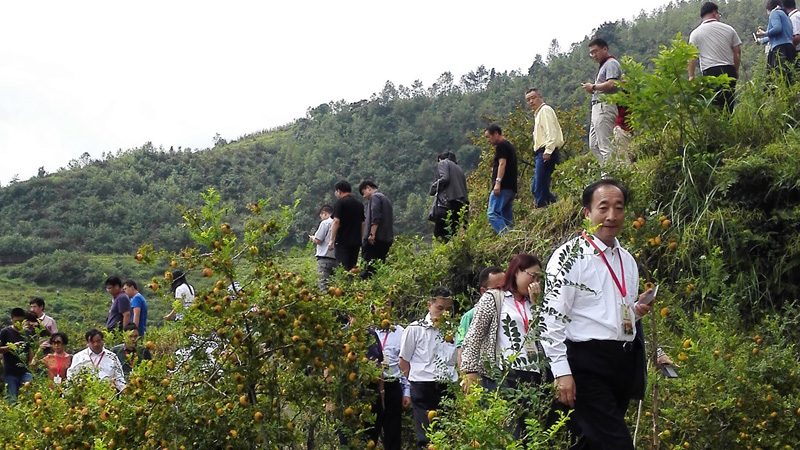 1506407352305224.jpg 5.jpg