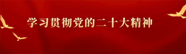 1669081315107286.gif 1.gif